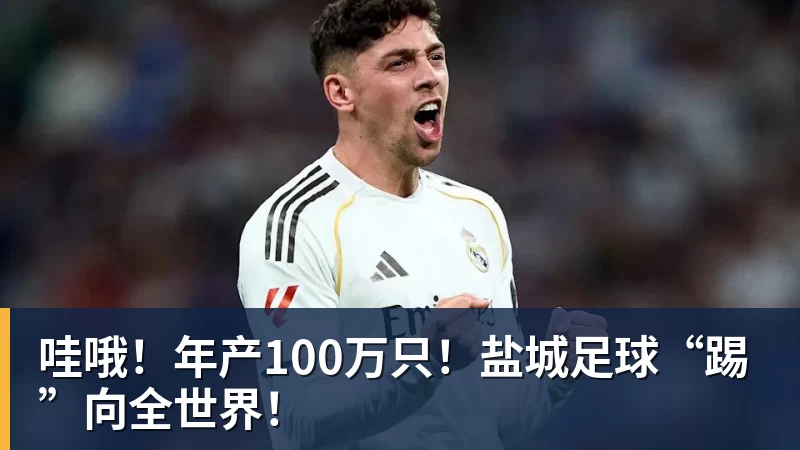 九游体育哇哦!年产100万只!盐城足球“踢”向全世界! 九游体育哇哦!年产100万只!盐城足球“踢”向全世界!