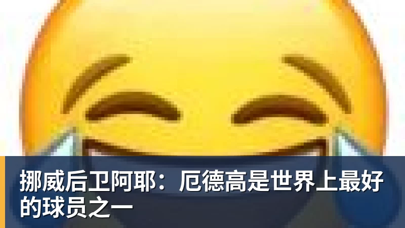 九游体育挪威后卫阿耶:厄德高是世界上最好的球员之一 九游体育挪威后卫阿耶:厄德高是世界上最好的球员之一